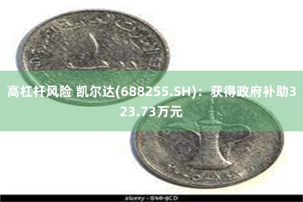 高杠杆风险 凯尔达(688255.SH)：获得政府补助323.73万元