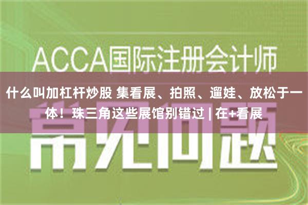 什么叫加杠杆炒股 集看展、拍照、遛娃、放松于一体！珠三角这些展馆别错过 | 在+看展