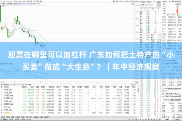 股票在哪里可以加杠杆 广东如何把土特产的“小买卖”做成“大生意”？｜年中经济观察