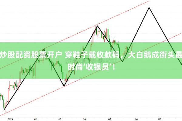 炒股配资股票开户 穿鞋子戴收款码，大白鹅成街头最时尚‘收银员’！