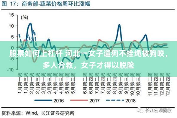 股票如何上杠杆 河北一女子遛狗不拴绳被狗咬，多人合救，女子才得以脱险