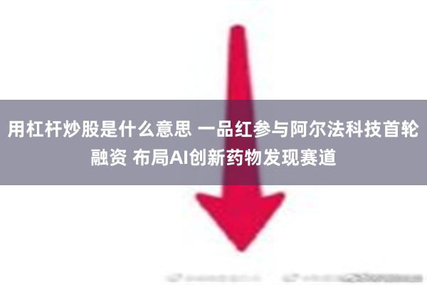 用杠杆炒股是什么意思 一品红参与阿尔法科技首轮融资 布局AI创新药物发现赛道