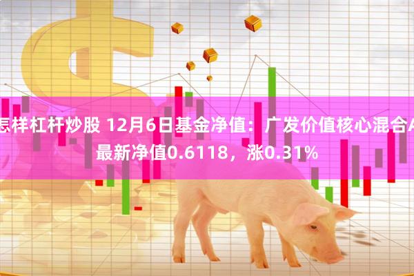 怎样杠杆炒股 12月6日基金净值：广发价值核心混合A最新净值0.6118，涨0.31%